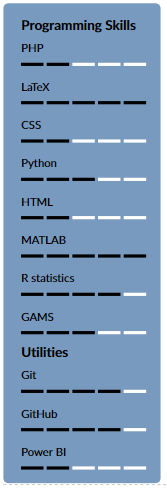 Programming Skills